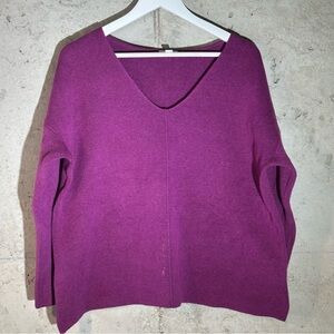 J.Jill V-Neck Sweater in Rich Purple